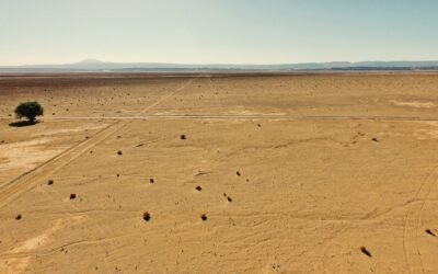 استكشاف التاريخ والثقافة في حفر الباطن: أماكن سياحية تستحق الزيارة