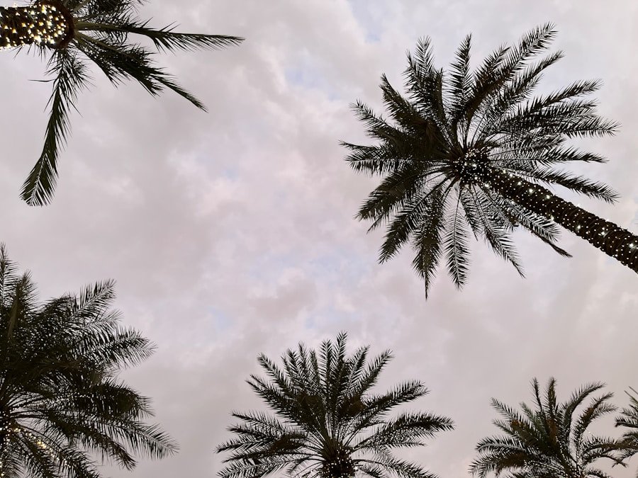 استكشاف جمال المنطقة الشرقية – القطيف: أفضل الأماكن للزيارة والتجول