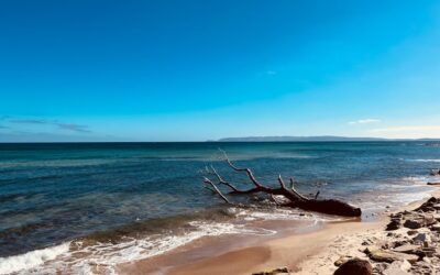 جزيرة دارين: وجهة سياحية مثالية في المنطقة الشرقية